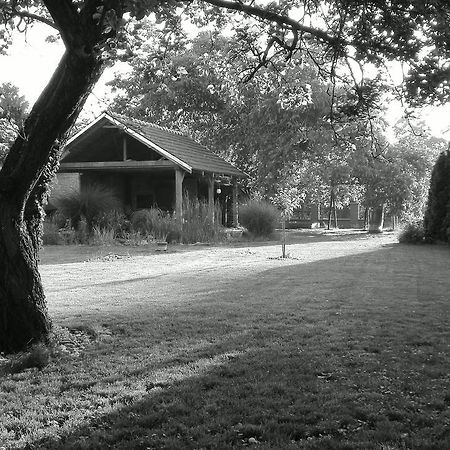 Penzion U Reky Vojkovice  Exterior photo
