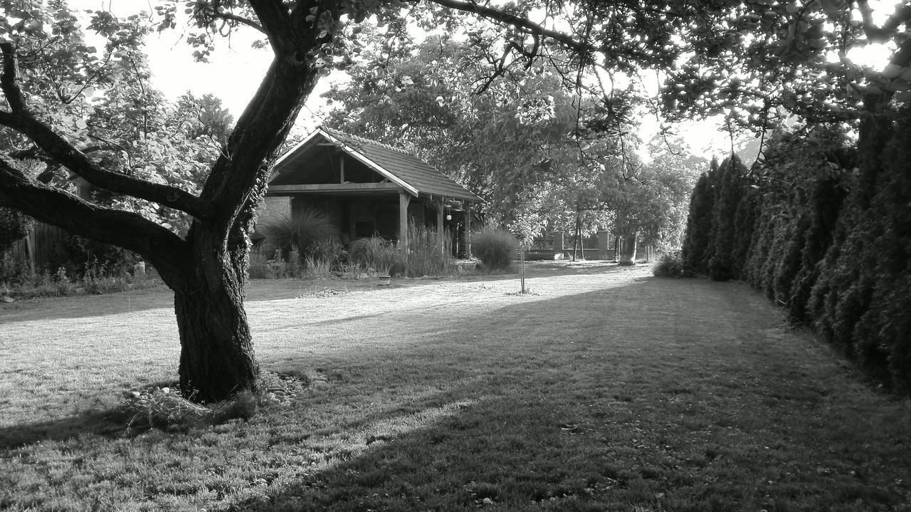 Penzion U Reky Vojkovice  Exterior photo